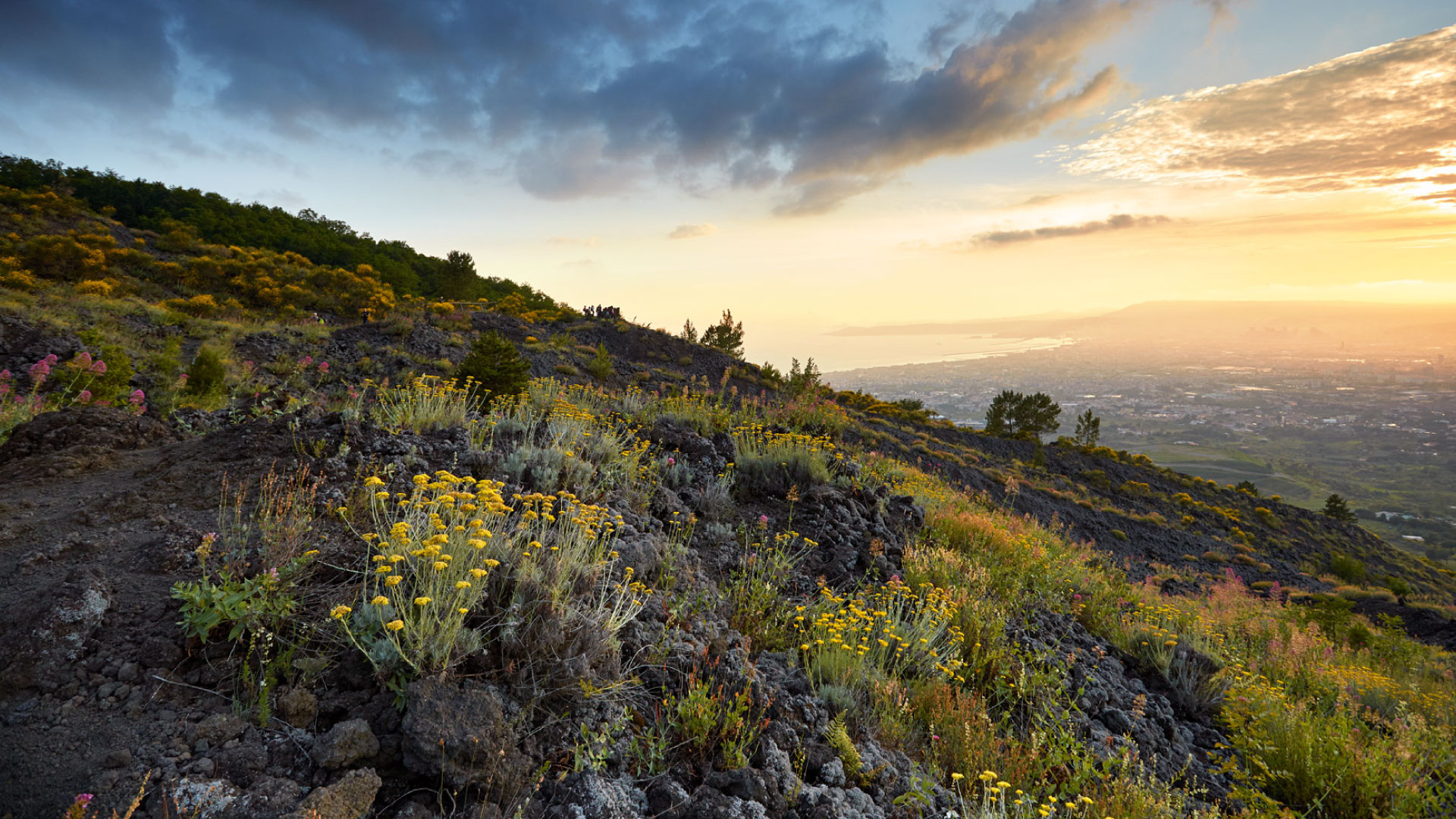 IE-i_sentieri_parco_nazionale_del_vesuvio